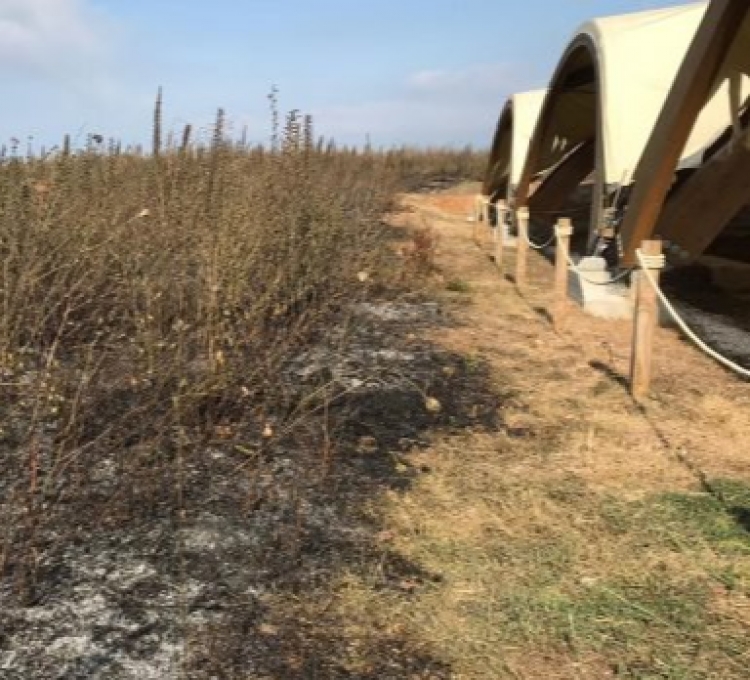 Incendio doloso minaccia il parco archeologico di Vibo