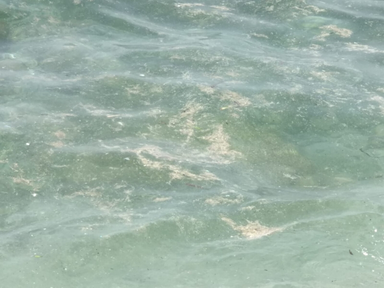 Mare sporco nel Vibonese, l’Udicon: «Si faccia luce sul malfunzionamento dei depuratori»