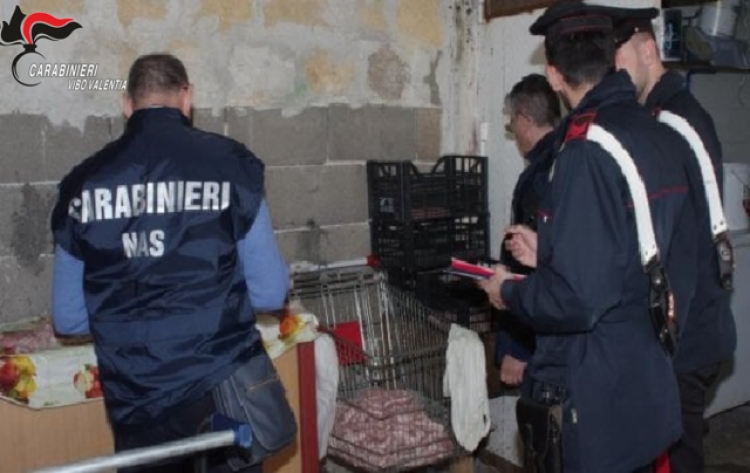 Vigilanza e controllo degli alimenti, carabinieri in azione nel Vibonese