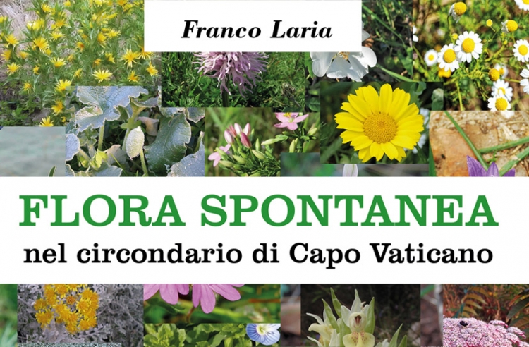 A Ricadi la presentazione del libro “Flora spontanea nel circondario di Capo Vaticano” di Franco Laria