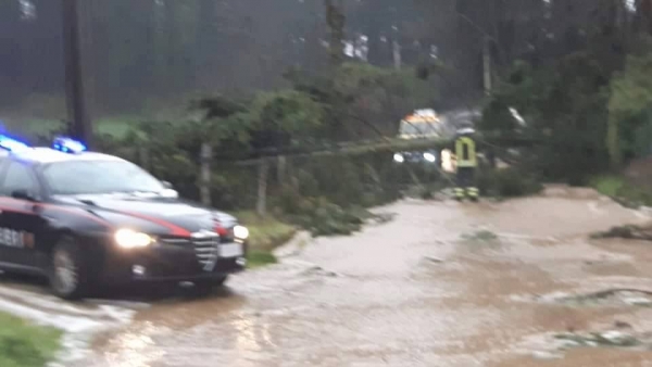 Serra, il maltempo sradica un albero in via Green. Strada liberata ma si temono altri crolli