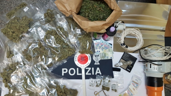 Un laboratorio per la produzione di marijuana a Briatico, arrestato 30enne