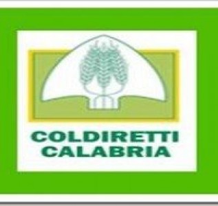 mini logo_coldiretti_calabria