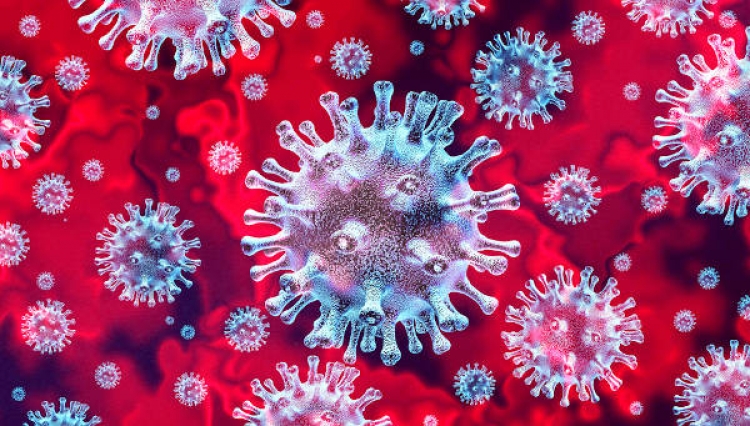 Coronavirus, 333 nuovi positivi in Calabria. Il bollettino