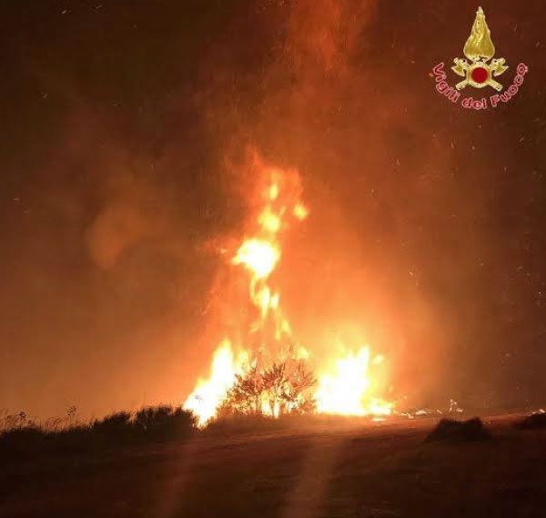 Incendio a Zaccanopoli, in fiamme oltre 20 ettari di macchia mediterranea