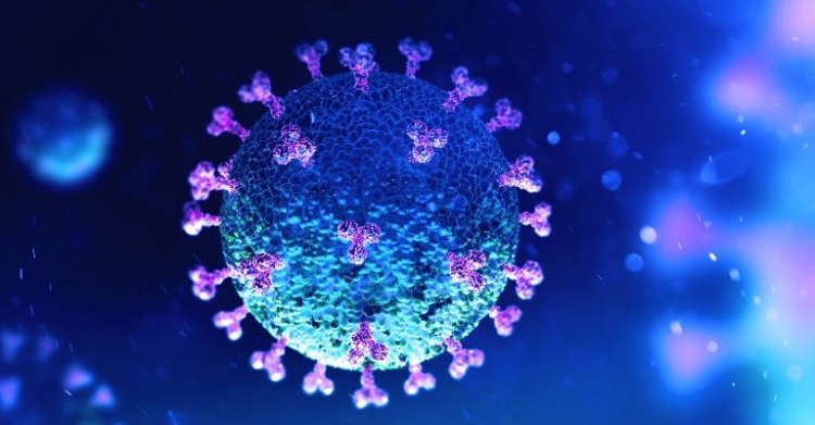 Coronavirus, 80 nuovi positivi su 2237 tamponi effettuati in Calabria. Il bollettino della Regione