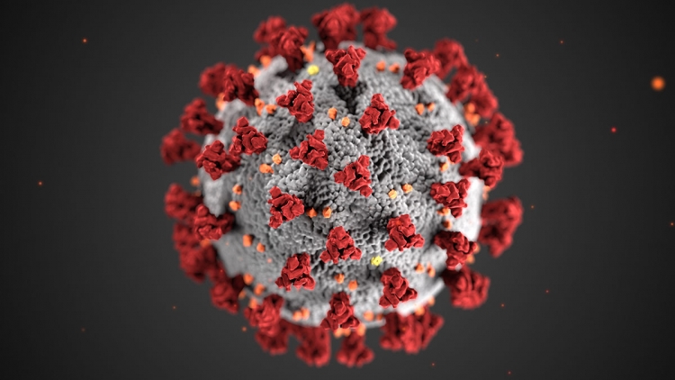 Coronavirus, 3 casi in più nelle ultime 24 ore in Calabria. Il bollettino