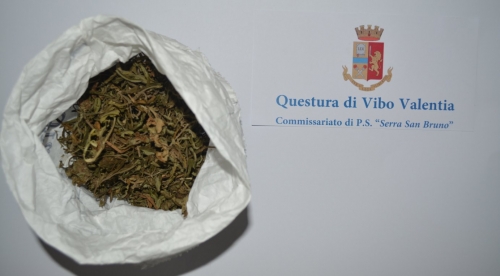 Marijuana nascosta nel termosifone, denunciato un 25enne a Serra
