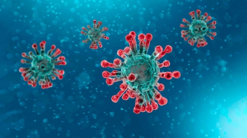 Coronavirus, 307 nuovi casi in Calabria. Il bollettino