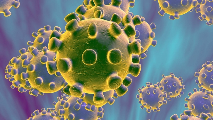 Coronavirus, bollettino della Regione: 733 persone positive (+42 rispetto a ieri), nel Vibonese 49 positive e 2 morti