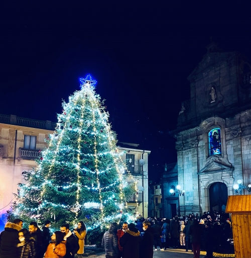 Serra, installato l&#039;albero di Natale in piazza Monsignor Barillari