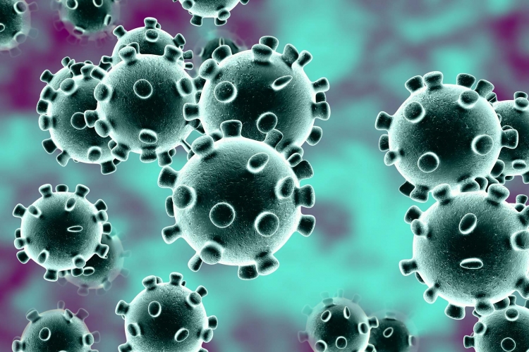 Coronavirus, un nuovo caso in Calabria. Il Bollettino