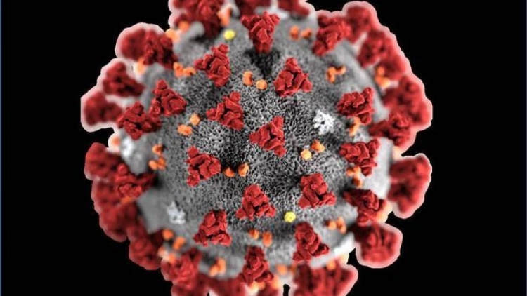 Coronavirus, 726 tamponi in più e 0 nuovi positivi in Calabria. Il bollettino