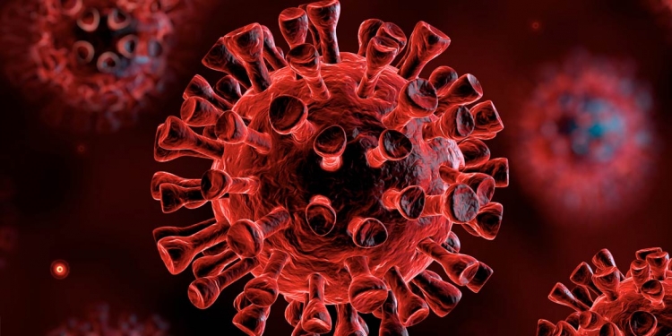 Coronavirus, 1006 tamponi in più e nessun nuovo positivo in Calabria. Il bollettino