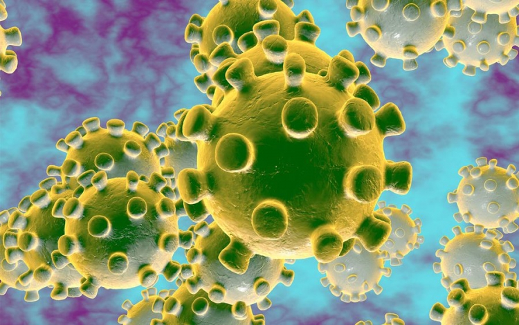 Coronavirus, impennata dei tamponi negativi a Fabrizia: sono 32