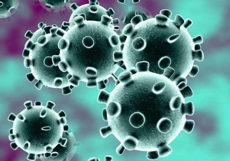 Coronavirus, quasi 1000 tamponi nelle ultime 24 ore e 0 nuovi positivi. Il bollettino