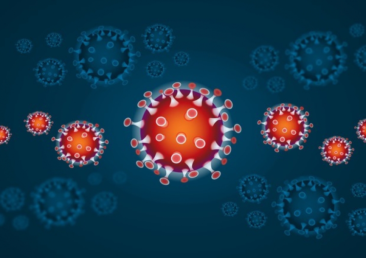 Coronavirus, più di 1000 tamponi in più rispetto a ieri e 0 nuovi positivi in Calabria. Il bollettino