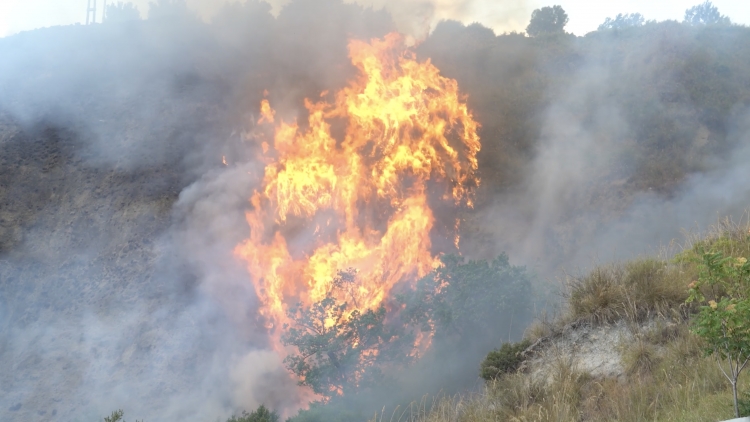 «Stop agli incendi». La campagna di Calabria Verde e tutte le sanzioni previste