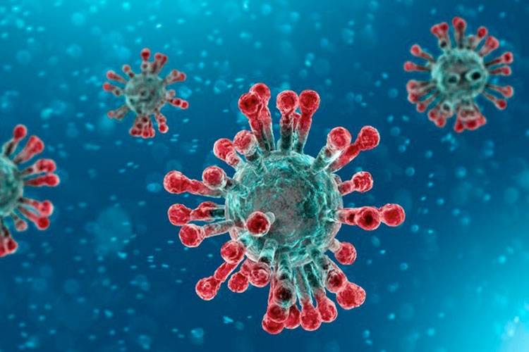 Coronavirus, 69 nuovi positivi su 2300 tamponi effettuati in Calabria. Il bollettino