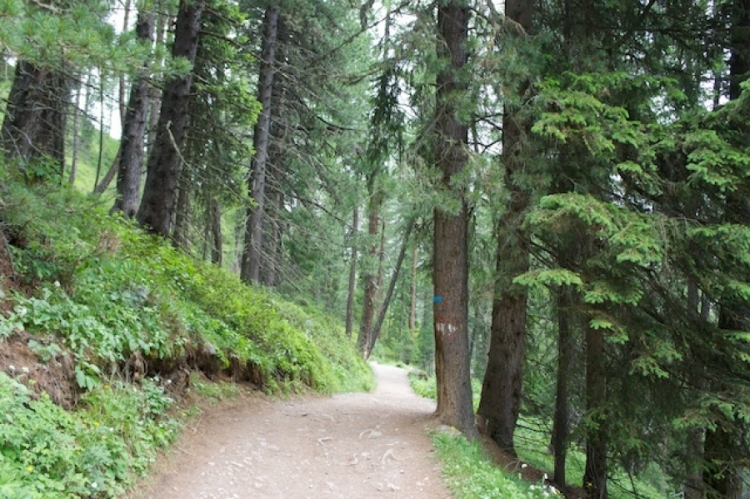 «Valorizzare il parco delle Serre», parte il corso per guida ambientale escursionistica