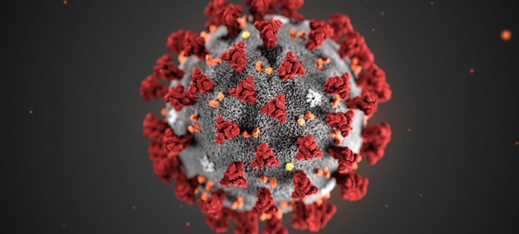Coronavirus, oggi quasi 1000 tamponi e 6 nuovi positivi. Il bollettino
