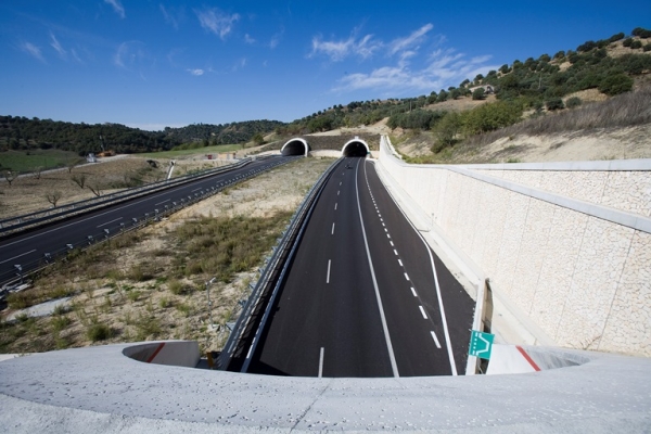 «Gerocarne avrà uno svincolo sull&#039;autostrada del Mediterraneo»