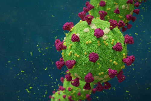 Coronavirus, 239 nuovi positivi in Calabria. Il bollettino della Regione