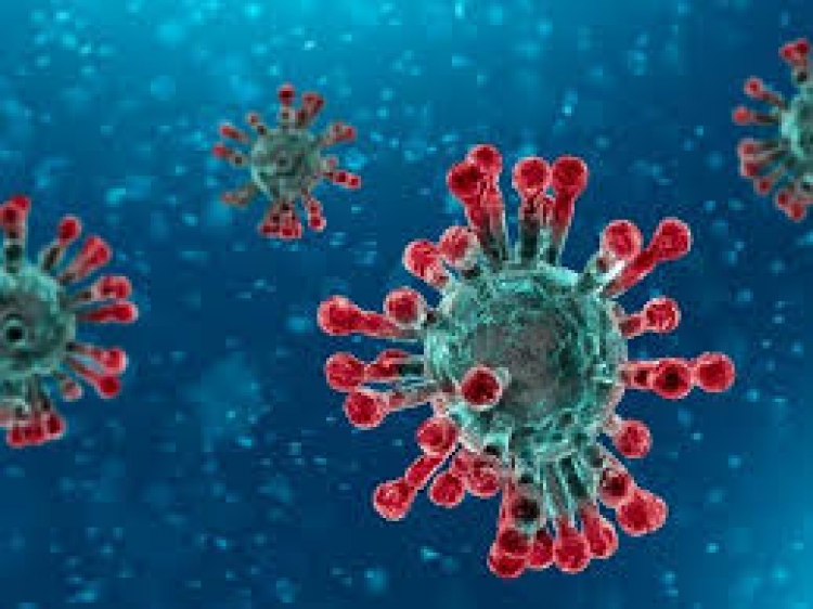 Coronavirus, in Calabria altri 6 morti. I casi attivi in provincia di Vibo sono 906