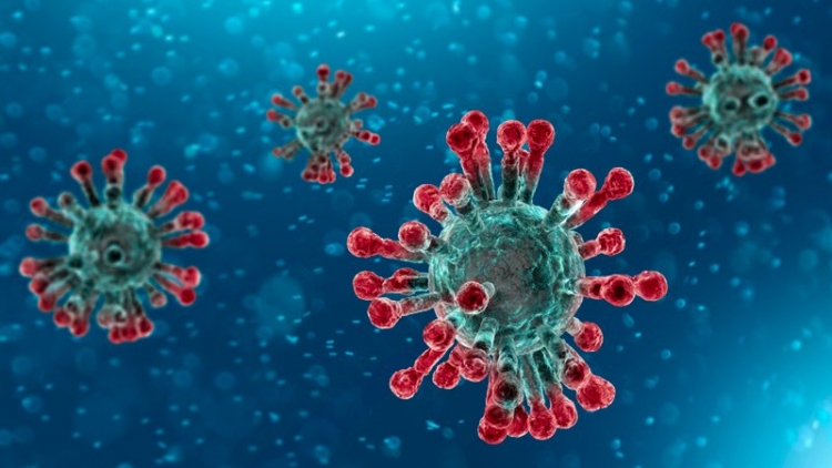 Coronavirus, bollettino della Regione: 614 persone positive (+59 rispetto a ieri), nel Vibonese 35 positive e un morto