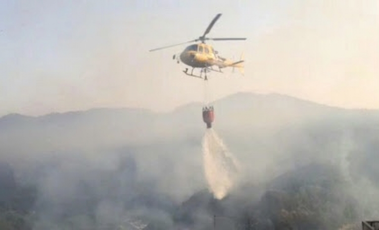 Incendi sul versante jonico, Tassone: «Si dichiari subito lo stato d’emergenza»