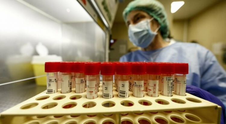Coronavirus, 503 nuovi positivi in Calabria. Nel Vibonese 43 casi in 24 ore. Il bollettino