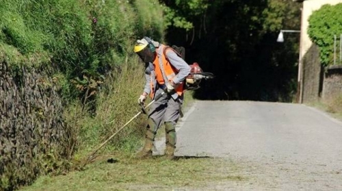 La Provincia di Vibo avvia gli interventi di pulizia delle strade
