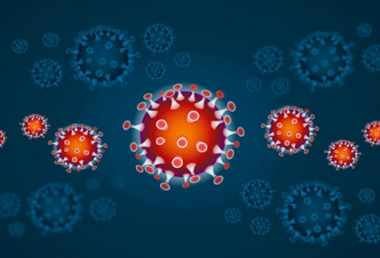 Coronavirus, 168 nuovi positivi e 9 decessi nelle ultime 24 ore in Calabria. Il bollettino