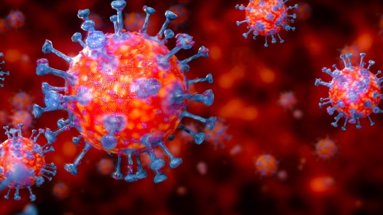 Coronavirus, 4 nuovi casi nelle ultime 24 ore. Il bollettino