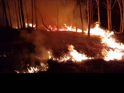 Notte di fuoco nelle Serre - VIDEO