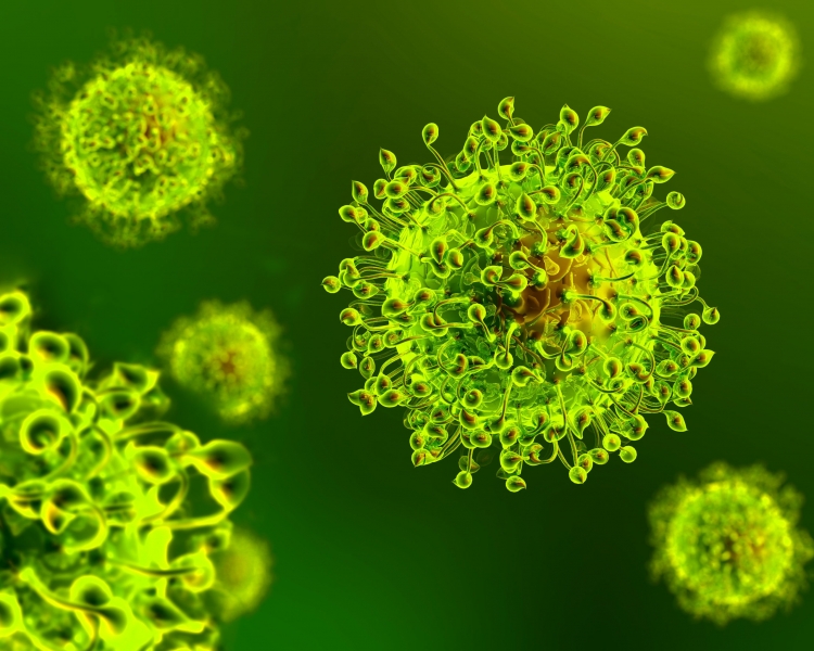 Coronavirus, 239 nuovi positivi in Calabria. Il bollettino