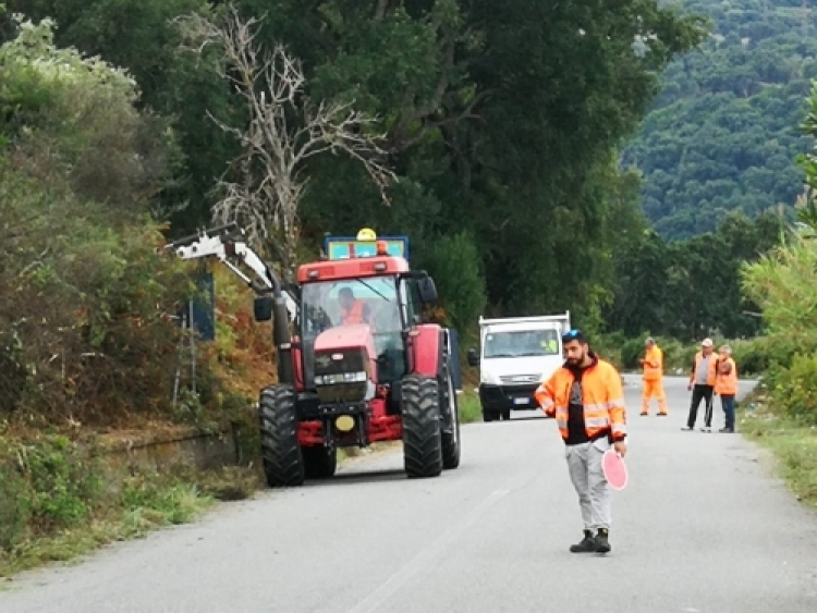 Prevenzione degli incendi, Vito Pitaro: «Verranno ripuliti 600 chilometri di strade nel Vibonese»