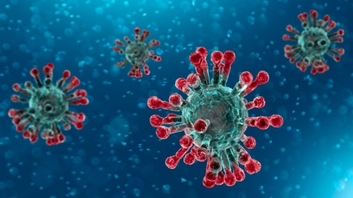 Coronavirus, 193 nuovi casi in Calabria. Registrati anche 4 decessi e 175 guariti/dimessi. Il bollettino