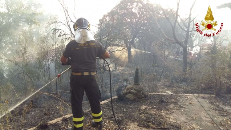 Boschi in fiamme nel Vibonese: oltre 25 gli interventi dei vigili del fuoco